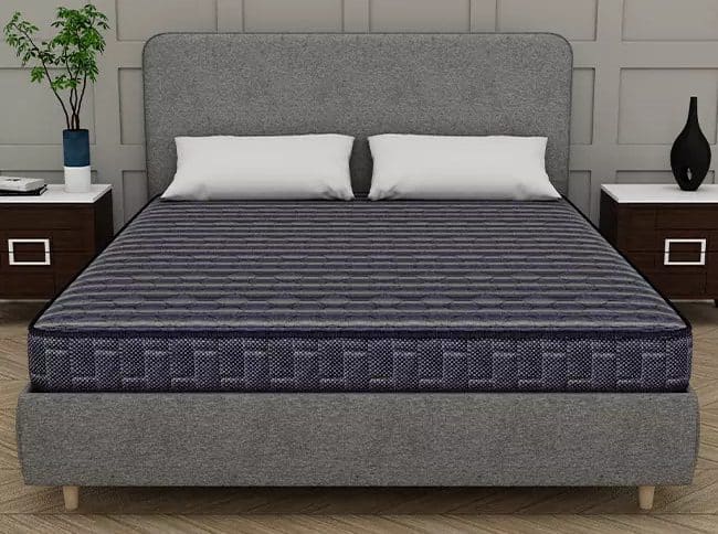 Centuary Dr. Sleep+ – Orthopedic Coir Mattress
