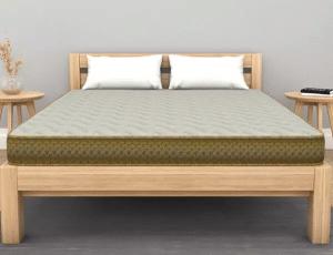 Softopedic 2.0 Foam Mattress