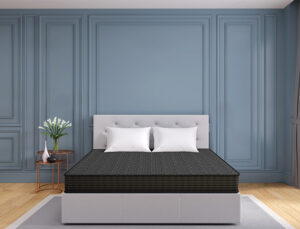 Centuary Ortho Active – Best Orthopaedic Mattress