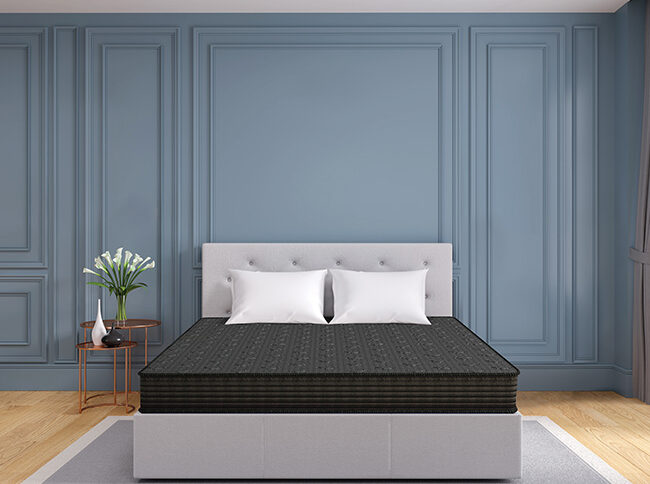 Centuary Ortho Active – Best Orthopaedic Mattress