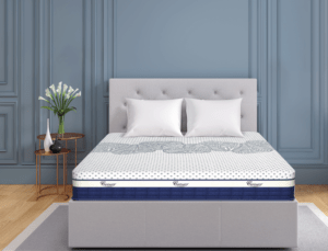 Centuary Hexa – Pocketed Spring Mattress