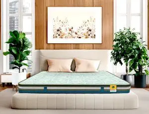 Centuary Q-GEL Natura 8 and 6-inch Mattress